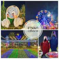 เที่ยวงานมหกรรมหุ่นฟางนกฯ จังหวัดชัยนาท