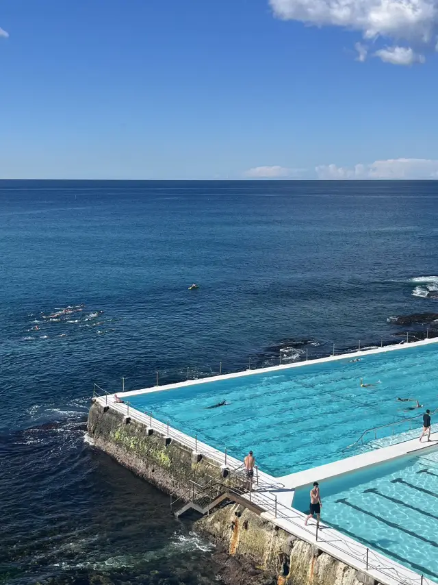 雪梨邦迪海灘，以牆紙聞名