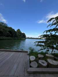 Nature walk with the Wildlife at Mandai