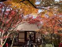 The Everlasting Light of Wisdom in Nirvana — The Jojakko-ji Temple in Arashiyama 