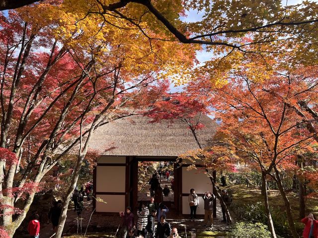 The Everlasting Light of Wisdom in Nirvana — The Jojakko-ji Temple in Arashiyama 