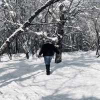 2 Day In snow Village 