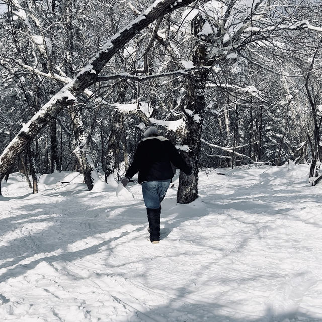 2 Day In snow Village 