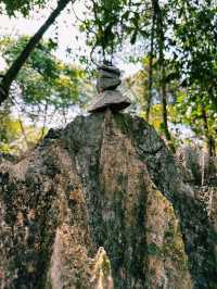 Paku Rock Maze Garden: A Nature Lover’s Puzzle