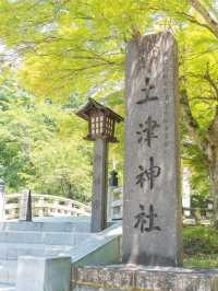 【福島】花手水×御朱印🏵️ 会津藩祖を祀る「土津神社」⛩🌸 