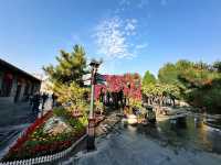 The Qiao Family Compound