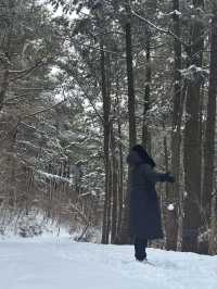 옛날부터 노루가 많이 살았던 또 다른 제주 설경 명소❄️