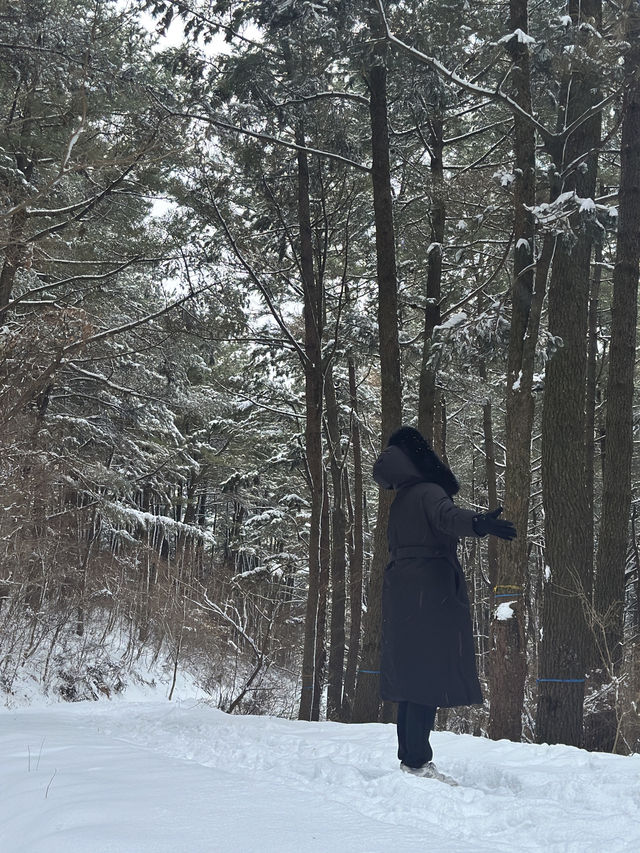 옛날부터 노루가 많이 살았던 또 다른 제주 설경 명소❄️