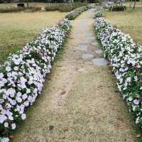 竜山家族公園