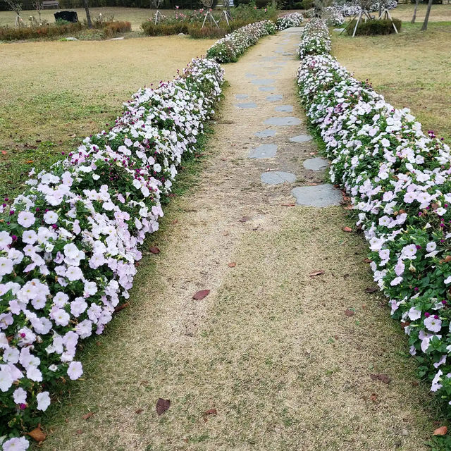 竜山家族公園