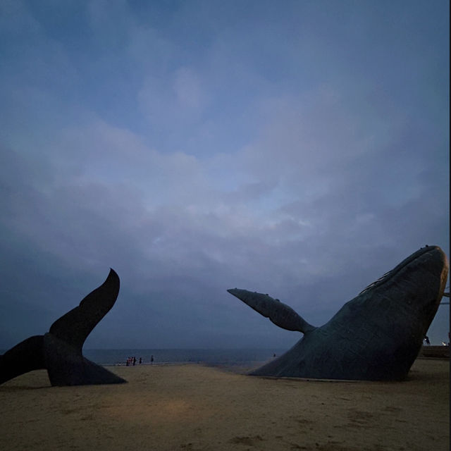 Exploring Yantai: A Coastal Gem in Shandong province 