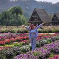 Hokkaido Flower Park Khaoyai