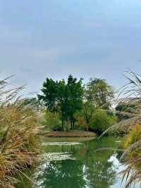 Luoshui Wetland Park: An Ecological and Cultural Haven