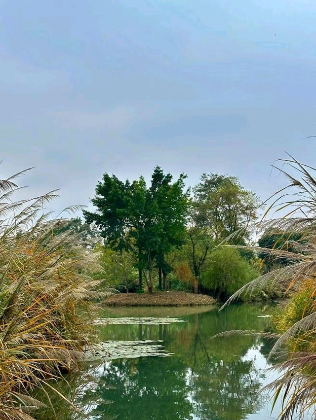 Luoshui Wetland Park: An Ecological and Cultural Haven