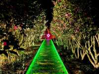 A night visit to Jeju Herb Land