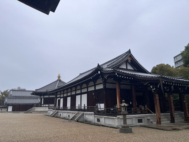大阪天王寺之旅：便利與人文風情的完美結合