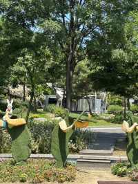 Pocheon Art Valley: A Scenic Cultural Escape with a Monorail Ride