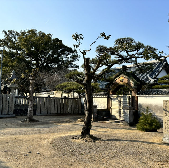 🇯🇵【香川県】四国八十八ヶ所霊場 第79番札所 金華山 高照院 天皇寺