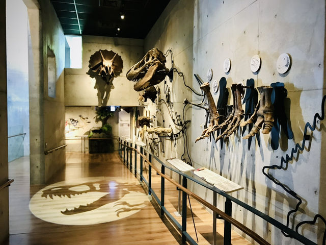 左鎮化石園區：走進台灣遠古時代的時光隧道