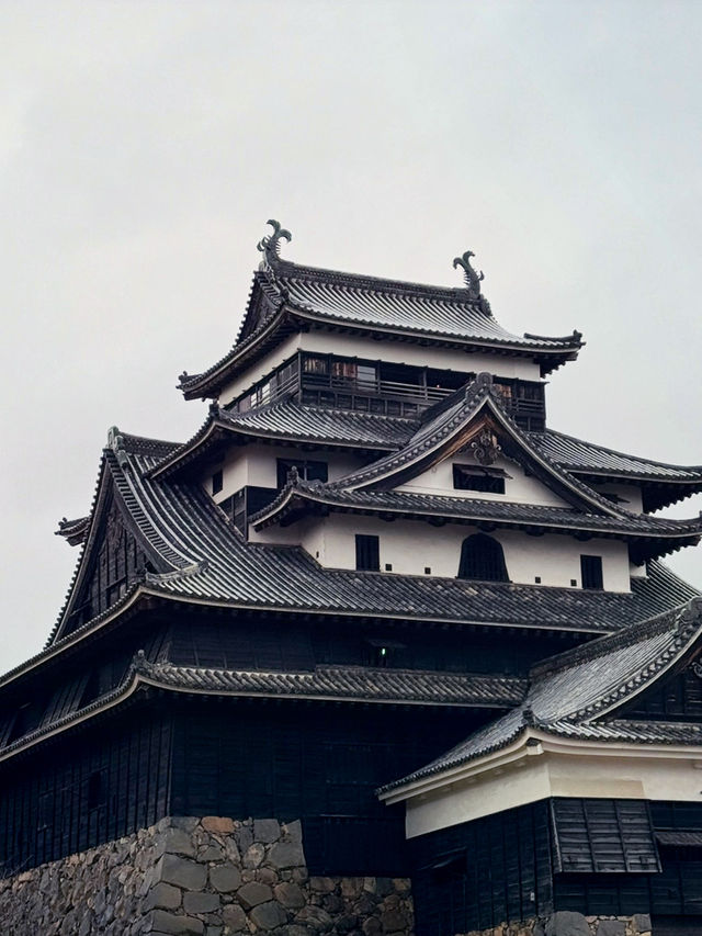 松江城山公園：歷史與自然的交織之地🏯🌸