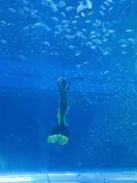 VinWonders Phu Quoc สวนสนุกใหญ่ในเวียดนาม 🇻🇳
