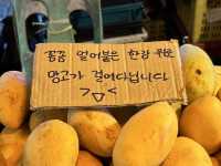 다시 방문하고 싶은 곳, 말레이시아 코타키나발루🇲🇾