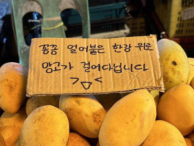 다시 방문하고 싶은 곳, 말레이시아 코타키나발루🇲🇾