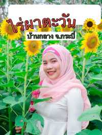 ไร่ผาตะวัน