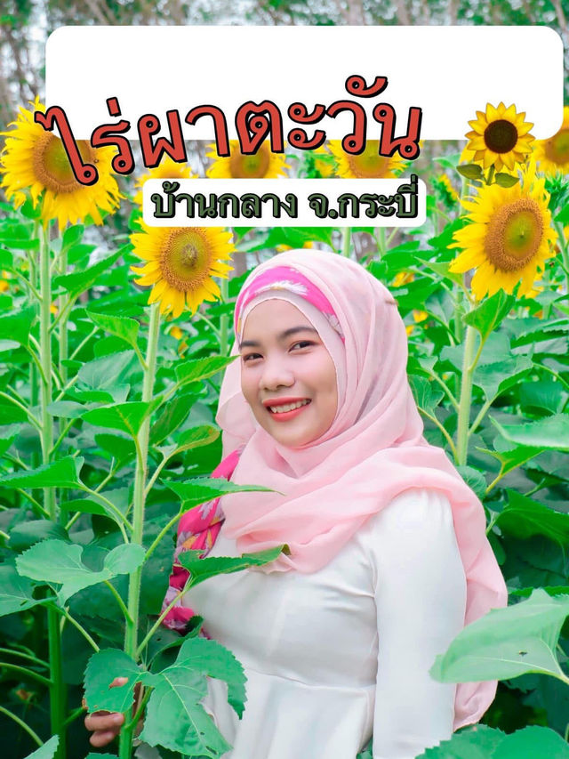 ไร่ผาตะวัน