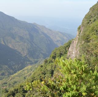 [Sri Lanka] Spectacular cliff views! World's End🌍⛰️