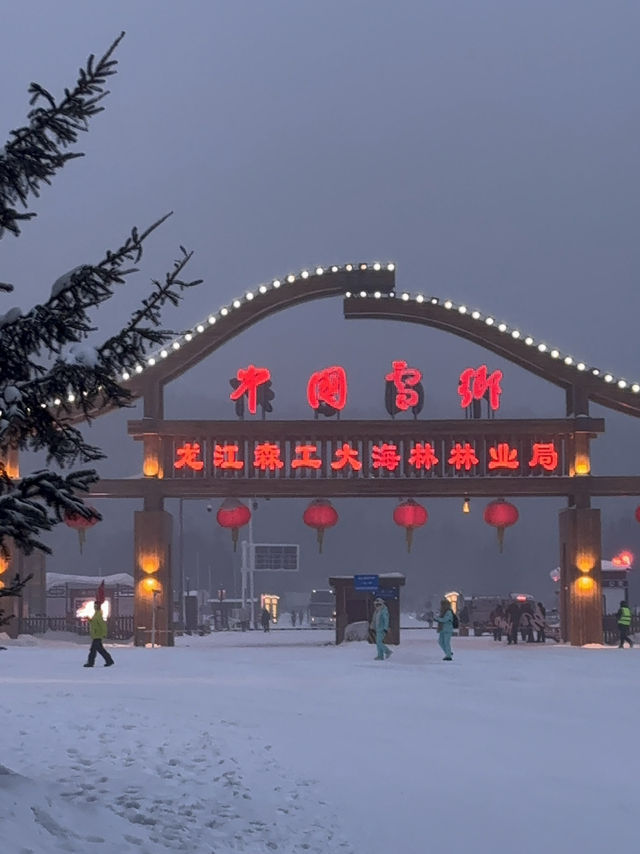 🇨🇳哈爾濱雪鄉必去蘑菇🍄‍🟫屋打卡位🔥🔥🔥