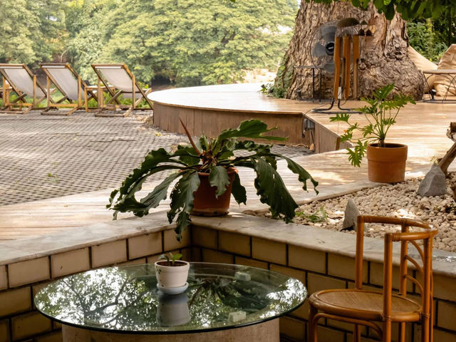 𝐎𝐧𝐥𝐲 𝐰𝐞 𝐊𝐧𝐨𝐰 𝐜𝐚𝐟𝐞 🌳☕️🍃