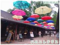 【長野/軽井沢】軽井沢の日常を再現したオシャレスポット＊ハルニレテラス＊