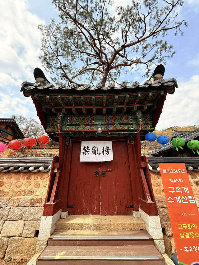 釜山｜金井山梵魚寺傳說 感受佛寺莊嚴與寧靜