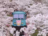Chasing Sakura at Funaoka Joshi Park Monorail