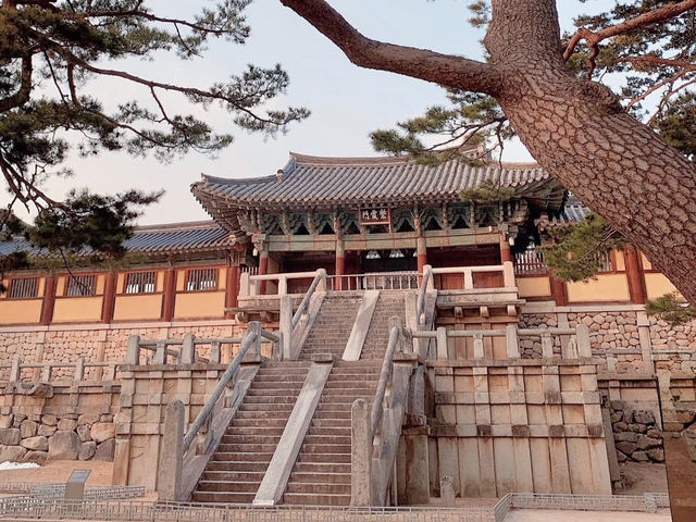 HISTORIC BEAUTY | BULGUKSA TEMPLE DRAPED IN CHERRY BLOOMS