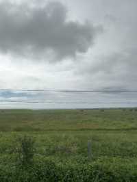 絶景の花咲線に乗って北方領土を望む日本最東端納沙布岬へ