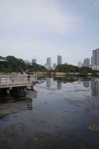 【東京】菜の花畑｜浜離宮恩賜庭園