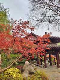 Yingzhou Isle: Nanjing’s Tranquil Lakeside Retreat
