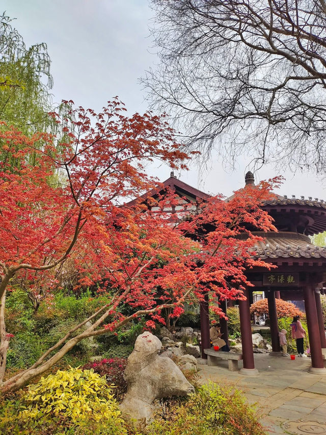 Yingzhou Isle: Nanjing’s Tranquil Lakeside Retreat