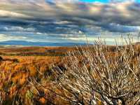 Exploring Tongariro: A Sustainable Journey to the Blue-Green Lakes