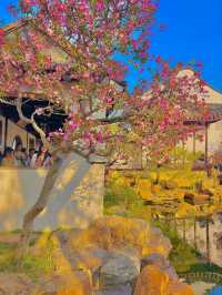 Master-of-Nets Garden- Suzhou's Most Poetic Miniature Garden