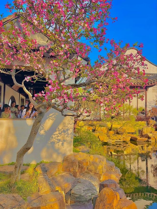 Master-of-Nets Garden- Suzhou's Most Poetic Miniature Garden