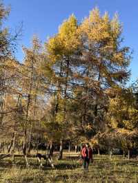 Autumn in Kyrgyztsan 🇰🇬