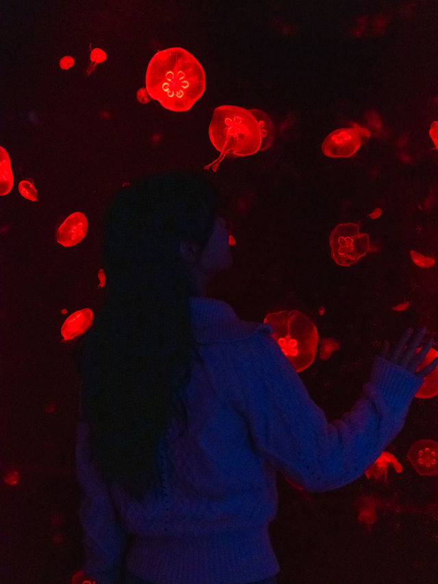 신비스러운 물속 데이트코스..🐠🐟💕