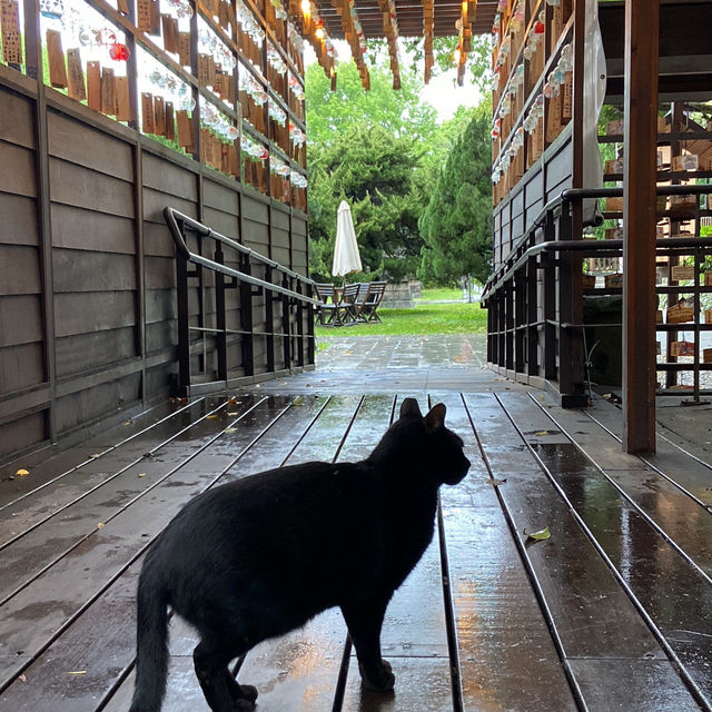 一秒飛日本！桃園神社，日式風情滿滿的拍照聖地