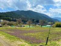 🌿京都・大原って、まるで自然の宝箱みたいな場所だった！🌸