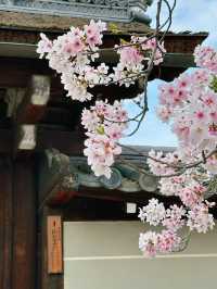 心がふわりとほどける時間。任和寺で出会うバイオリンと仏の響き
