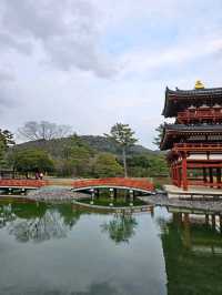 宇治一日遊