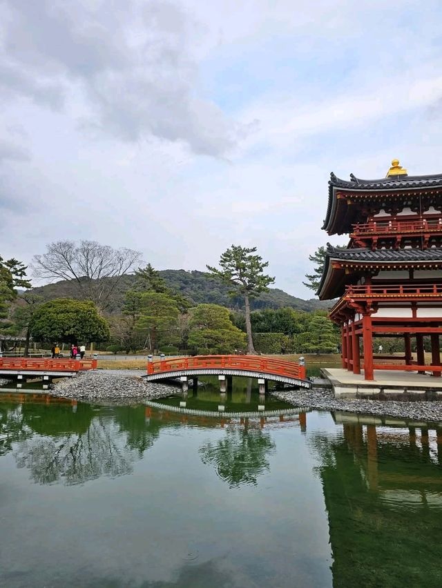 宇治一日遊